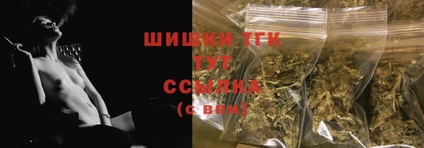 гидра Армянск