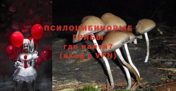 гидра Балабаново